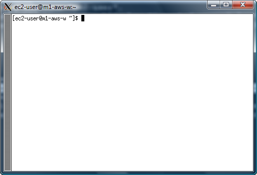 Xterm shown via remote X11 on Windows